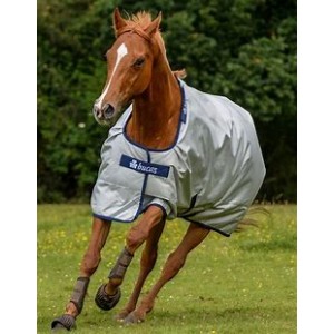 Bucas Power Turnout Light